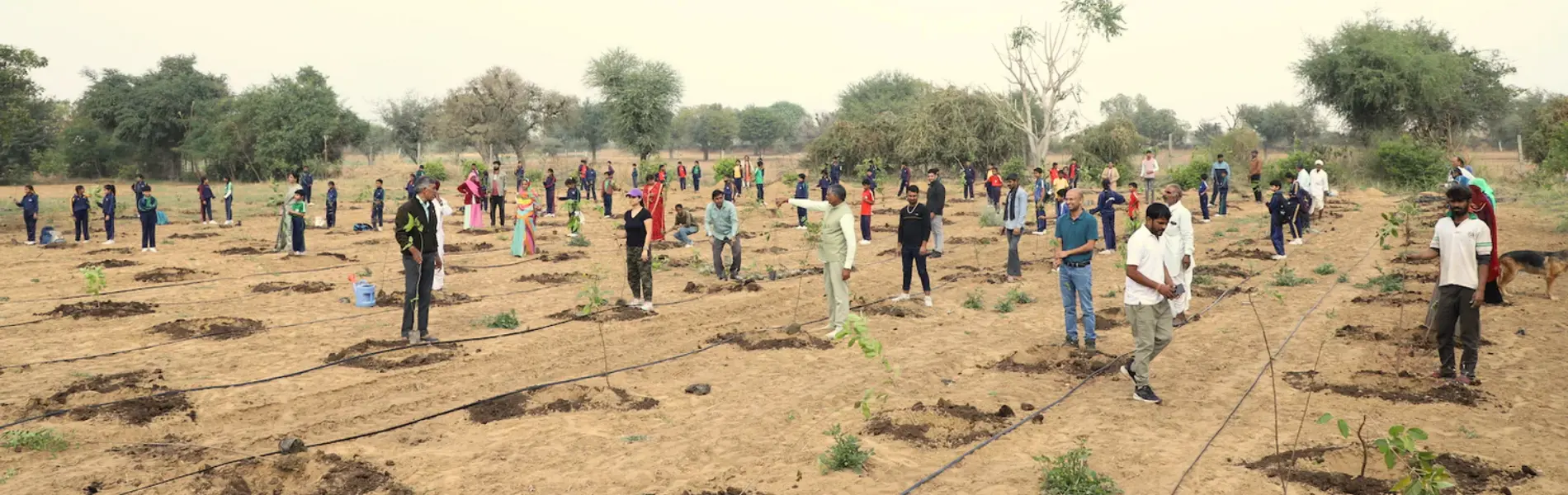 Tree plantation drive banner